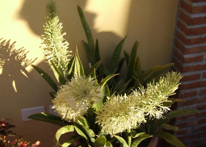 Kompleks wypoczynkowy Camping Jonio Katania